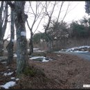 라제주유소 이미지