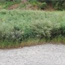 은하면 포항마을회관 이미지