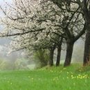 예쁘다,오늘 이미지