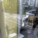 이삭토스트(무실점) | 이삭토스트 원주 유리창청소, 오후에도 매장 운영 방해 없이! – 창문반장 후기