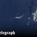 MY DOG GROOMING 이미지