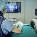 콕마취통증의학과의원 이미지