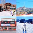 용평리조트 스키장 | 용평 렌탈샵 뽀드득 이용 후기 용평 리조트 스키장 할인 방법