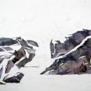 계곡수채화 이미지