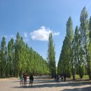 시골왕족 이미지