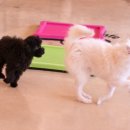 마오네 문덕점 이미지