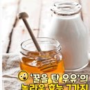 꿀을 탄 우유의 놀라운 효능 이미지