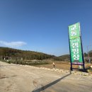 교동면-6 | 강화 교동도 1박 2일 가족 캠핑｜카라반 끌고 섬마을 캠핑장부터 대룡시장·화개정원까지