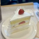 프프프 스토어 | 황리단길 먹거리(테라도스, 프프프베이커리, 청수당 등 솔직후기)와 미피스토어 (중요한 팁들 정리...