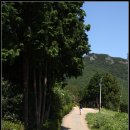 박경리 추모공원 이미지