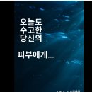 수피부관리실 - 남양주시 마석로45번길 19 | 수피부관리실