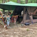 소나무숲아래 이미지