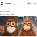 워시팡팡셀프빨래방 - 남구 용소로64번길 59 | 워시팡팡셀프빨래방