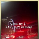 대구고양이분양 테디럽 | 포항고양이분양 테디럽 신뢰가 먼저인 곳