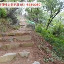 신선동-4 이미지