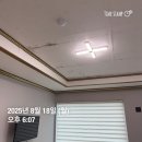 동해안로R | 감포 오션뷰 펜션 단체룸 후기 [🐶⭐로,, 비추]