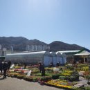 보라상가세탁소 이미지