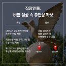 경희대학교 평화복지대학원 이미지