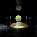 뿌리박물관 공중화장실 이미지