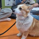 더 매드짐 이미지