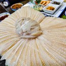 독도참가자미 이미지