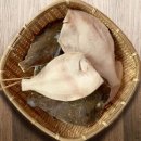 국제냉동(주) 이미지