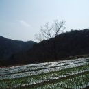 압곡1구 이미지