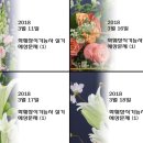 화훼장식기능사 이미지