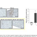 정한의원 이미지