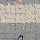 슬로베리 이미지