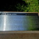 신의 젖줄 네이버블로그