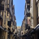 규성농장 | [호주 워홀] 퍼스 7,8,9월 일상/ 퍼스시티크루즈투어(돌고래 봄!),킹스파크,런던코트,노스브릿지 마라탕...