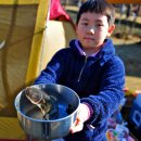 하마캠핑장 이미지