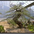 고양농장 이미지