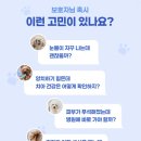 마고헬스&스킨케어 | AI기반 반려동물 헬스스킨앱 티티케어 체험후기