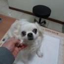 당곡지구대 이미지