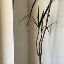 충주여인숙 이미지