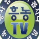 동해종묘사 이미지