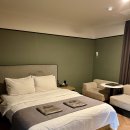 브라운 도트 이미지