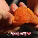 장씨농장 이미지