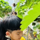 이반농장2 이미지