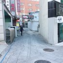 골목흙돼지