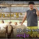 종축농장 이미지