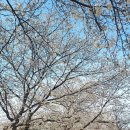 선덕한의원 이미지