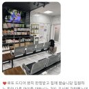 강한우리동물병원 이미지