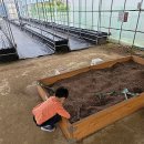 분도농장 이미지