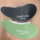 부천북초등학교 | 부천LED속눈썹연장 샵라움│프리미엄 플랫모 LED 연장 받아봤어요