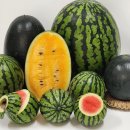 덕산축산 이미지