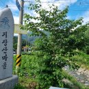 지장산 펜션 민박 이미지