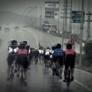 서해안 농장 이미지